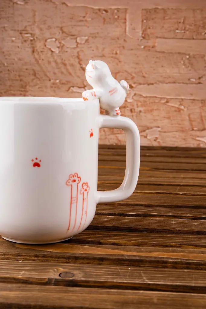 كوب ايدي القط (4).webp